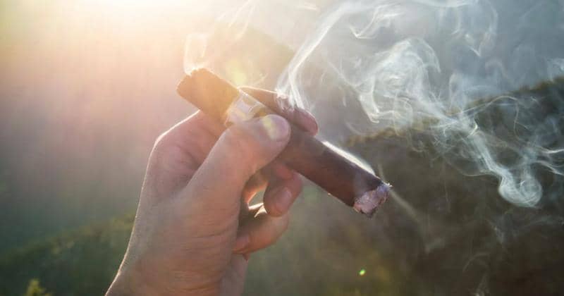 Pexels/RomanPochorecki